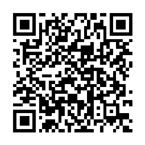 Lien vers votre campagne QRCode - Collecte de fonds