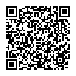 Lien vers votre campagne QRCode - Collecte de fonds