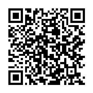 Lien vers votre campagne QRCode - Collecte de fonds
