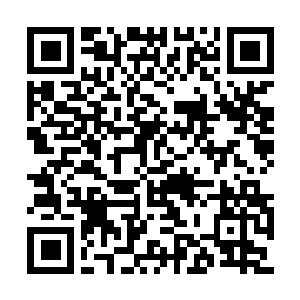 Lien vers votre campagne QRCode - Collecte de fonds