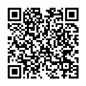 Lien vers votre campagne QRCode - Collecte de fonds