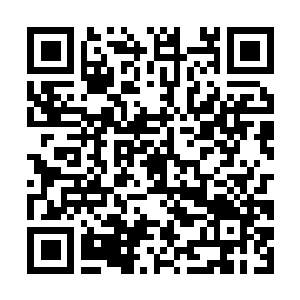 Lien vers votre campagne QRCode - Collecte de fonds
