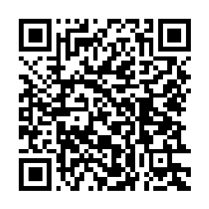 Lien vers votre campagne QRCode - Collecte de fonds