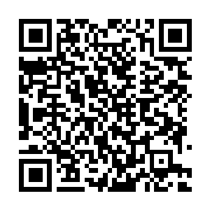 Lien vers votre campagne QRCode - Collecte de fonds