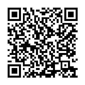 Lien vers votre campagne QRCode - Collecte de fonds