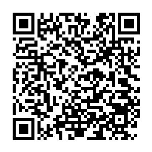 Lien vers votre campagne QRCode - Collecte de fonds