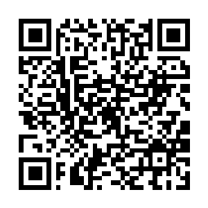 Lien vers votre campagne QRCode - Collecte de fonds