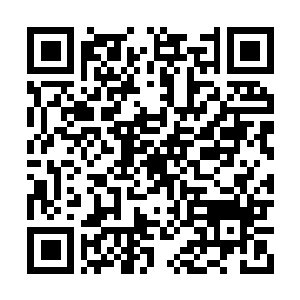 Lien vers votre campagne QRCode - Collecte de fonds