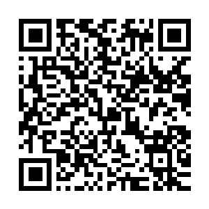 Lien vers votre campagne QRCode - Collecte de fonds