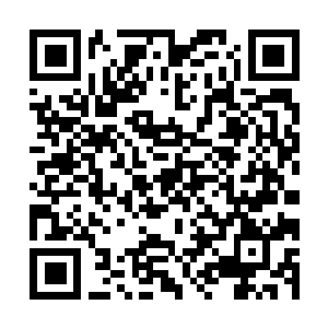 Lien vers votre campagne QRCode - Collecte de fonds