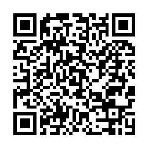 Lien vers votre campagne QRCode - Collecte de fonds
