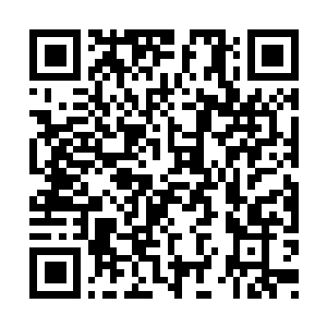 Lien vers votre campagne QRCode - Collecte de fonds