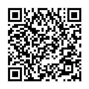 Lien vers votre campagne QRCode - Collecte de fonds