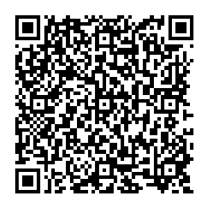 Lien vers votre campagne QRCode - Collecte de fonds