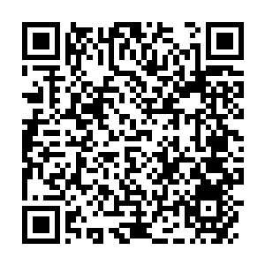 Lien vers votre campagne QRCode - Collecte de fonds