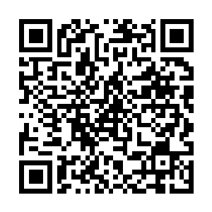 Lien vers votre campagne QRCode - Collecte de fonds