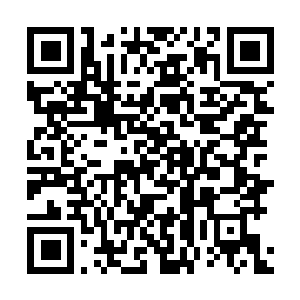 Lien vers votre campagne QRCode - Collecte de fonds