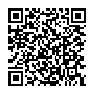 Lien vers votre campagne QRCode - Collecte de fonds