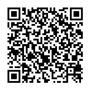 Lien vers votre campagne QRCode - Collecte de fonds