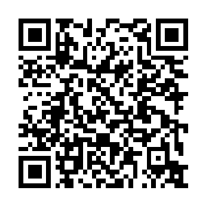 Lien vers votre campagne QRCode - Collecte de fonds