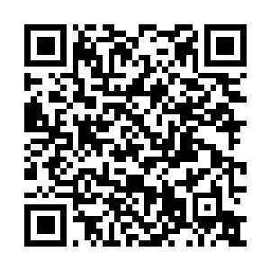 Lien vers votre campagne QRCode - Collecte de fonds