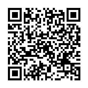 Lien vers votre campagne QRCode - Collecte de fonds
