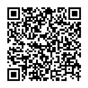 Lien vers votre campagne QRCode - Collecte de fonds