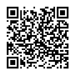 Lien vers votre campagne QRCode - Collecte de fonds