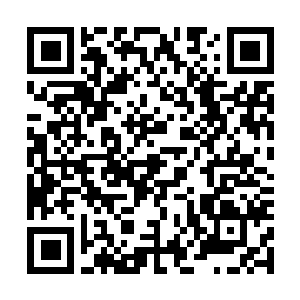 Lien vers votre campagne QRCode - Collecte de fonds