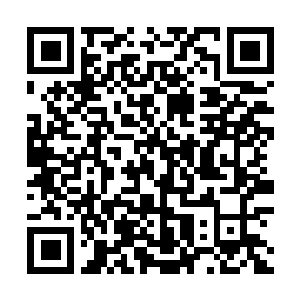 Lien vers votre campagne QRCode - Collecte de fonds