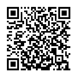 Lien vers votre campagne QRCode - Collecte de fonds