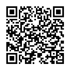 Lien vers votre campagne QRCode - Collecte de fonds