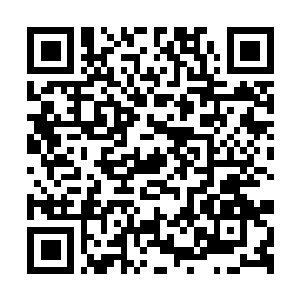 Lien vers votre campagne QRCode - Collecte de fonds