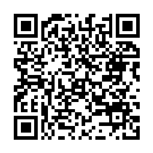 Lien vers votre campagne QRCode - Collecte de fonds