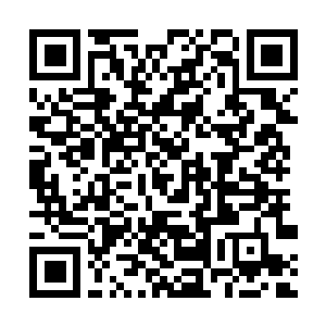 Lien vers votre campagne QRCode - Collecte de fonds