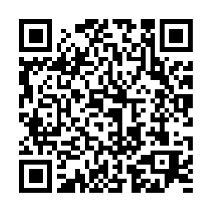 Lien vers votre campagne QRCode - Collecte de fonds