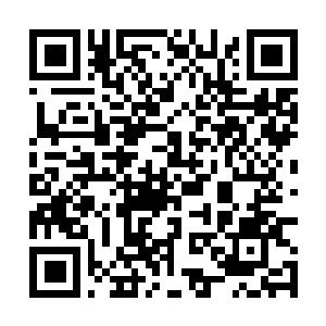 Lien vers votre campagne QRCode - Collecte de fonds
