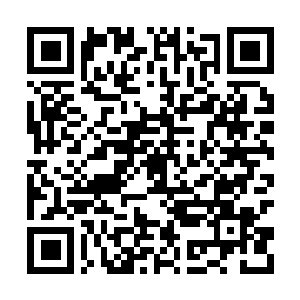 Lien vers votre campagne QRCode - Collecte de fonds