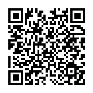 Lien vers votre campagne QRCode - Collecte de fonds