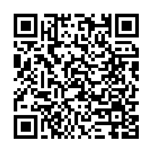 Lien vers votre campagne QRCode - Collecte de fonds