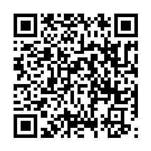 Lien vers votre campagne QRCode - Collecte de fonds