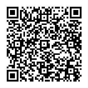Lien vers votre campagne QRCode - Collecte de fonds