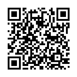 Lien vers votre campagne QRCode - Collecte de fonds