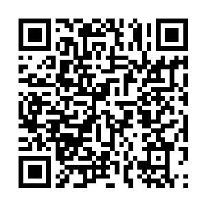 Lien vers votre campagne QRCode - Collecte de fonds