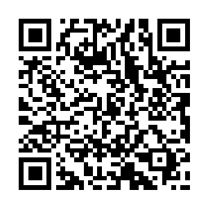 Lien vers votre campagne QRCode - Collecte de fonds