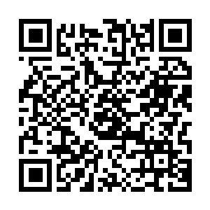 Lien vers votre campagne QRCode - Collecte de fonds
