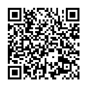 Lien vers votre campagne QRCode - Collecte de fonds