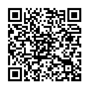 Lien vers votre campagne QRCode - Collecte de fonds