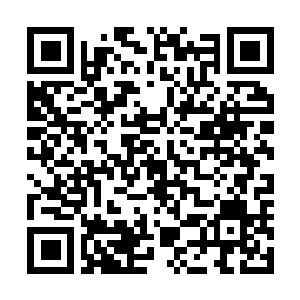 Lien vers votre campagne QRCode - Collecte de fonds