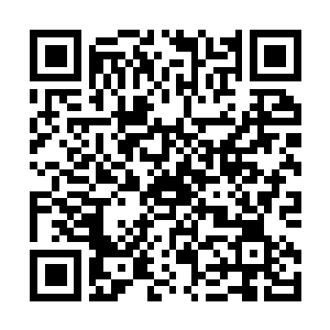 Lien vers votre campagne QRCode - Collecte de fonds